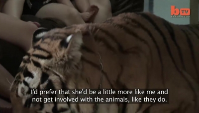 Living With Tigers  Family Share Home With Pet Tigers
