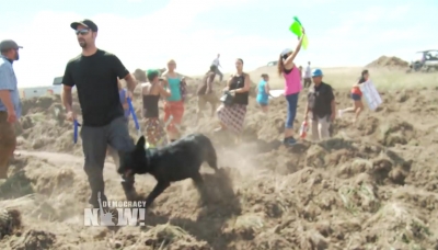 Dakota Access Pipeline Company Attacks Native American Protesters with Dogs   Pepper Spray